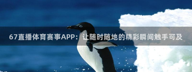 67直播体育赛事APP：让随时随地的精彩瞬间触手可及