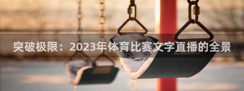 突破极限：2023年体育比赛文字直播的全景