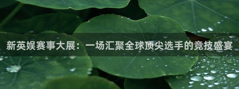 新英娱赛事大展：一场汇聚全球顶尖选手的竞技盛宴