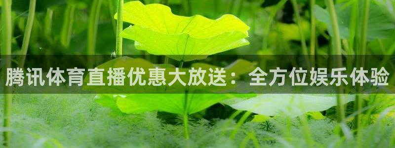腾讯体育直播优惠大放送：全方位娱乐体验