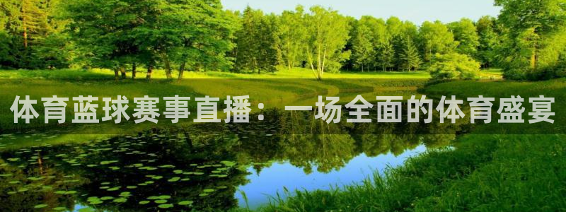 体育蓝球赛事直播：一场全面的体育盛宴
