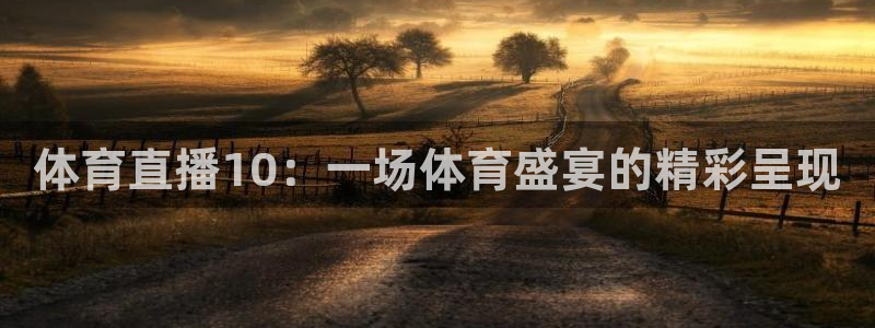 体育直播10：一场体育盛宴的精彩呈现
