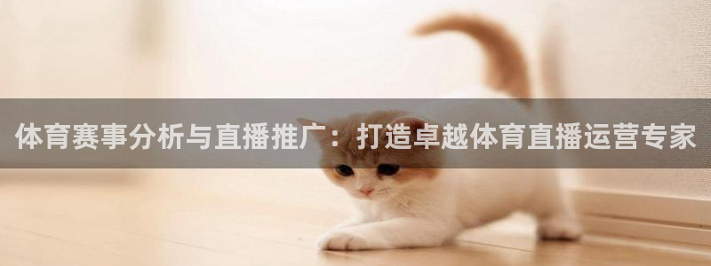 体育赛事分析与直播推广：打造卓越体育直播运营专家