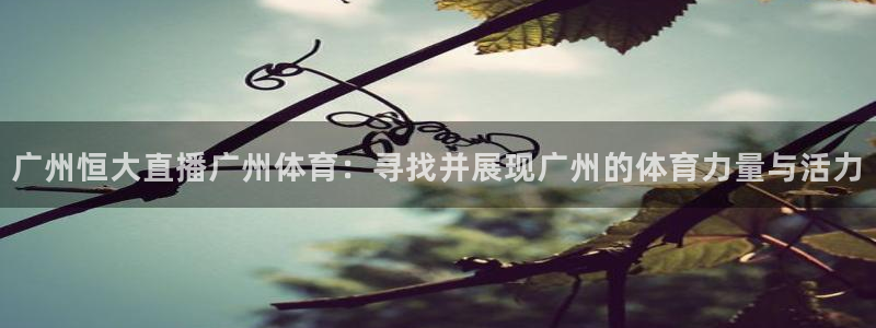广州恒大直播广州体育：寻找并展现广州的体育力量与活力