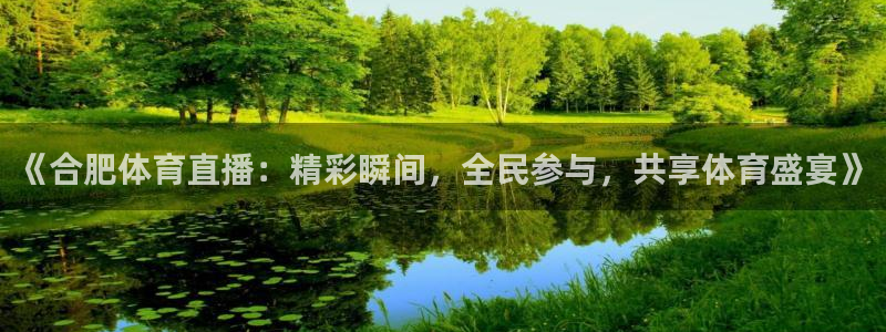 《合肥体育直播：精彩瞬间，全民参与，共享体育盛宴》