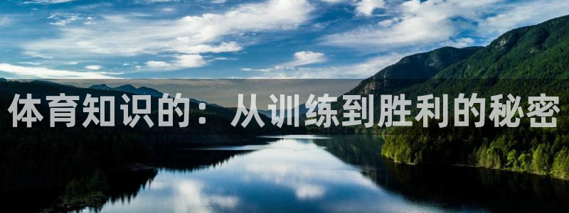 体育知识的：从训练到胜利的秘密
