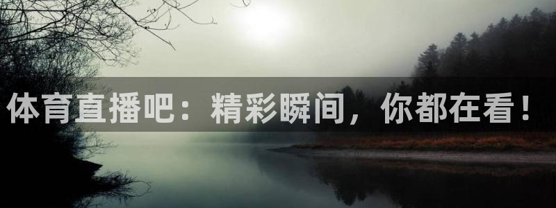 体育直播吧：精彩瞬间，你都在看！