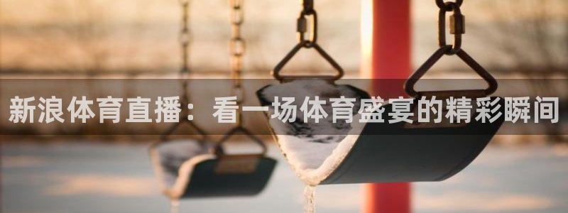 新浪体育直播：看一场体育盛宴的精彩瞬间