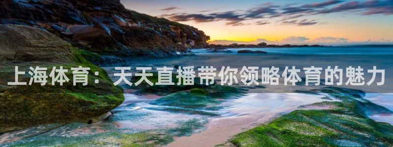 上海体育：天天直播带你领略体育的魅力
